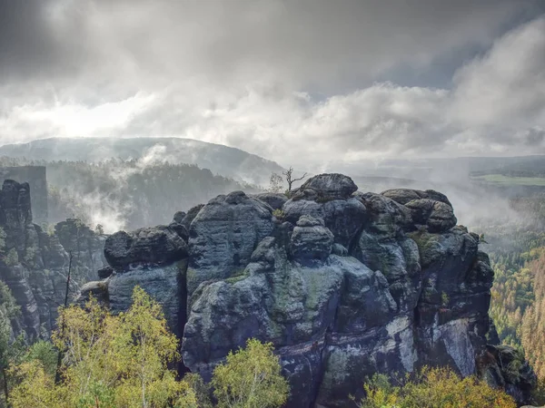 Misty valley with dry trees along sharp sandstone massives — Stock Photo, Image