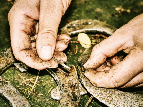 Argento usato scarpe da cavallo sul palmo della giovane donna in giacca rossa — Foto Stock