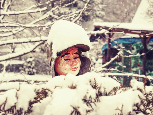 보 두마스크. 귀신들린 집의 수호자의 비인간적 인 머리 — 스톡 사진