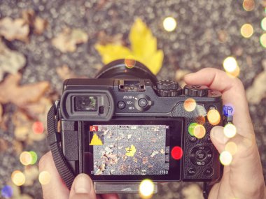 Sonbaharda fotoğrafçılık yapmak cinayet sebebi yaratır. Soyut filtre.