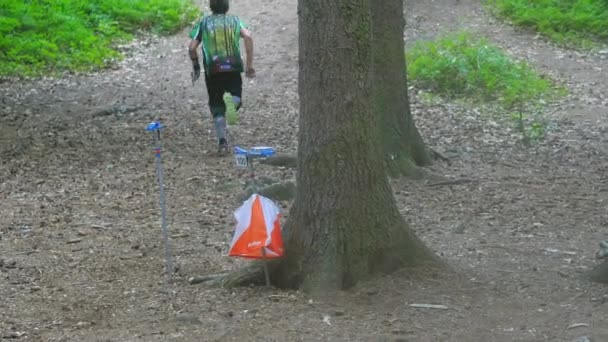 オリエンテーリング競争の中で森の中に隠された制御点でパンチ女性が実行 — ストック動画