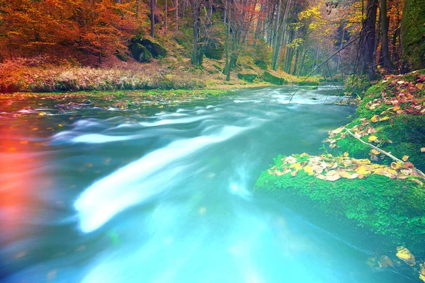 Abstract dromerig bos, kleurrijke achtergrond van de natuur — Stockfoto