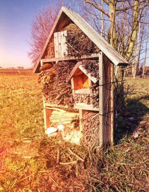 Bir bahçe bir böcek Otel'de yabani arı