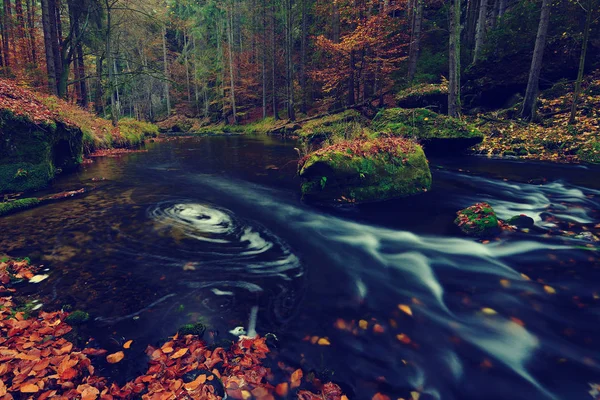 Fall mountain river. Big mossy sandstone boulders lay in water. — Stock Photo, Image