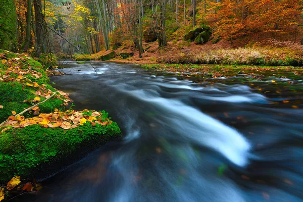 Herfst thema. De bergrivier met kleurrijke bladeren — Stockfoto