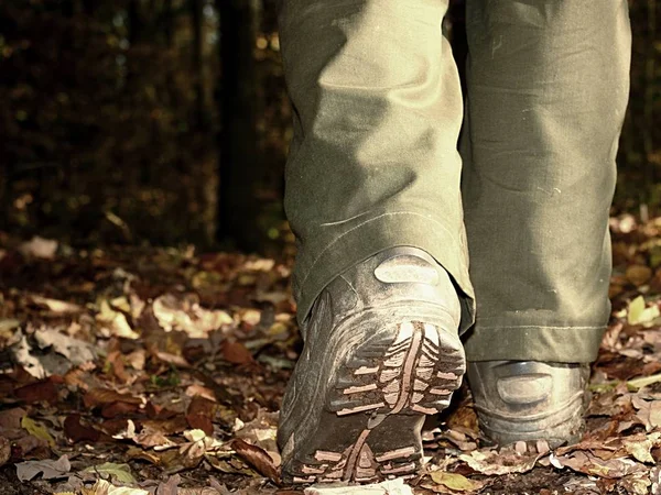 Närbild av promenader i vandringskängor på löv i skogen — Stockfoto