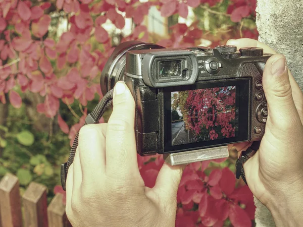 Artista usando pequena câmera sem espelho com lente de zoom largo — Fotografia de Stock