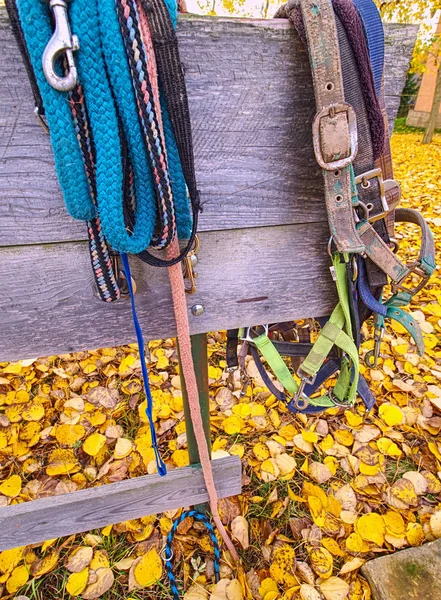 Läder flätat nylon halter på staket vid häst paddock — Stockfoto