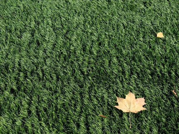 Дитячий майданчик, пластикова трава з першим барвистим листям — стокове фото