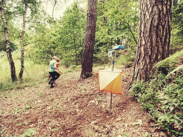 Orientación en el bosque. Persona mantener mapa y la búsqueda — Foto de Stock