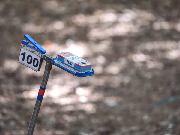 Punto de Control en Competencia de Orientación Forestal — Foto de Stock