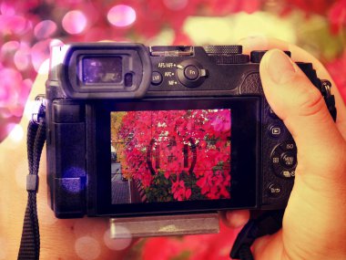 Eski tarz kameranın arka planında renkli yapraklar.  