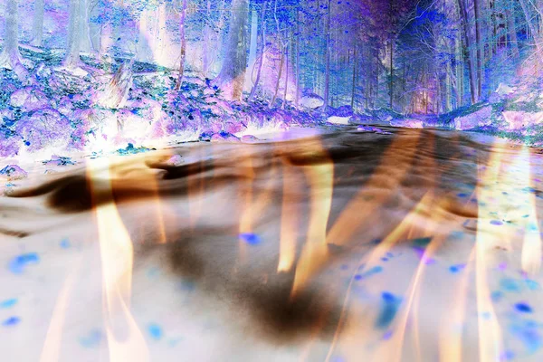 Дефолтована осіння річка набережна, яскраві яскраві кольори — стокове фото