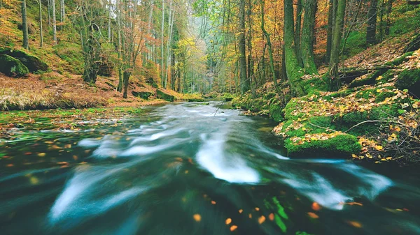 Val in de bergrivier. Grote mossige zandstenen rotsblokken liggen in het water. — Stockfoto