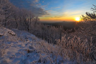 Ormanlı kış manzarası, gün batımında güzel donmuş ağaçlar..