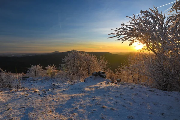 Sandstone Summit Popular Natural Park Rugged Rocky Terrain Brokem Pine — Stock Photo, Image