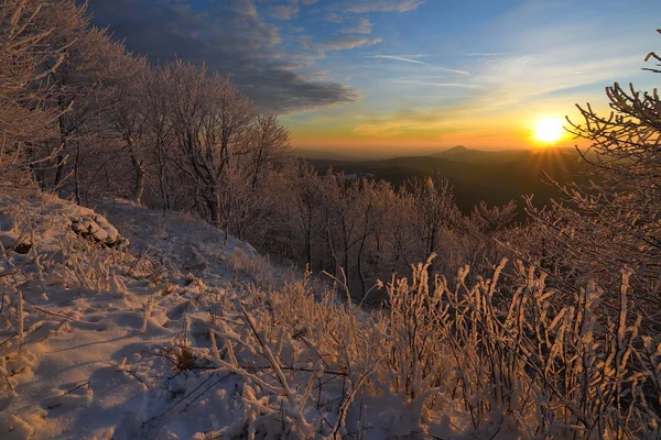 Winter landscape with a snowy slope and trees growing — Stock Photo, Image