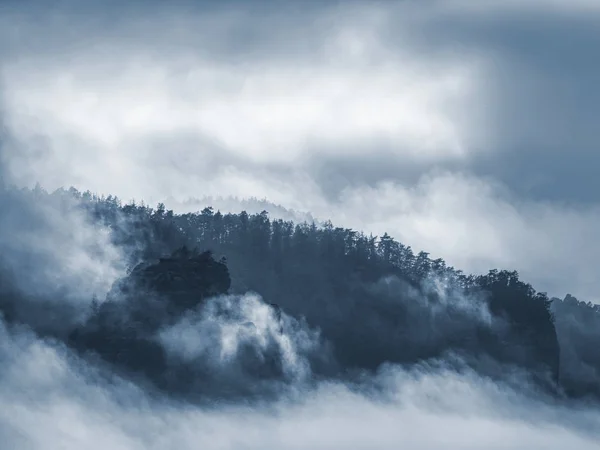 Colorless  misty landscape in low light in the morning time — Stock Photo, Image