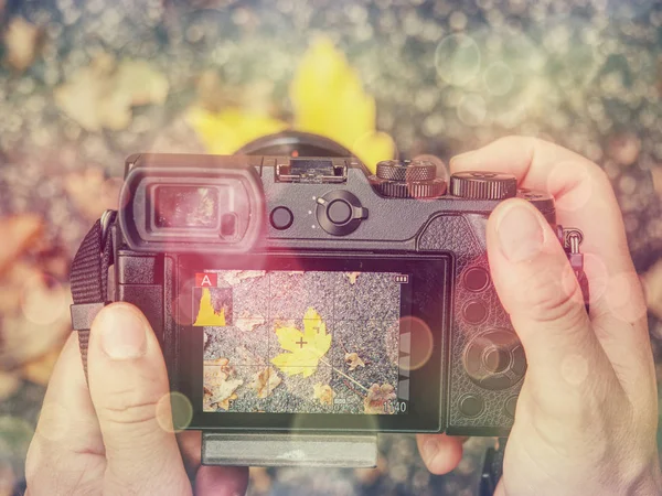 Digitalkamera auf Vintage Herbst Blätter abstrakten Hintergrund — Stockfoto