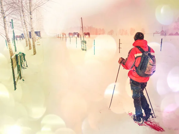 Esquís anchos sobre nieve blanca soleado copia espacio fondo —  Fotos de Stock