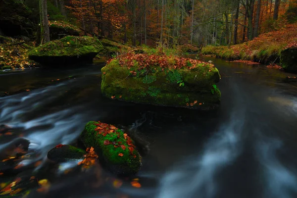 Rive de rivière colorée sous les arbres d'automne à la rivière de montagne — Photo