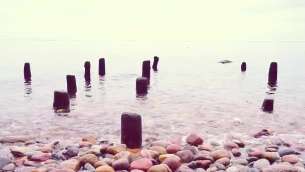Северном Море Исчезают Темные Деревянные Столбы Волнорезы Туманный Закатный Фон — стоковое видео