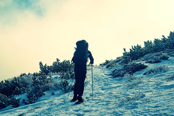 Pěší turistika pěšky sněžnicemi na zasněženém mrznoucím kopci — Stock fotografie