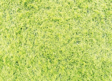 Pvc Çimeni futbol ve futbol sahalarında kullanılır