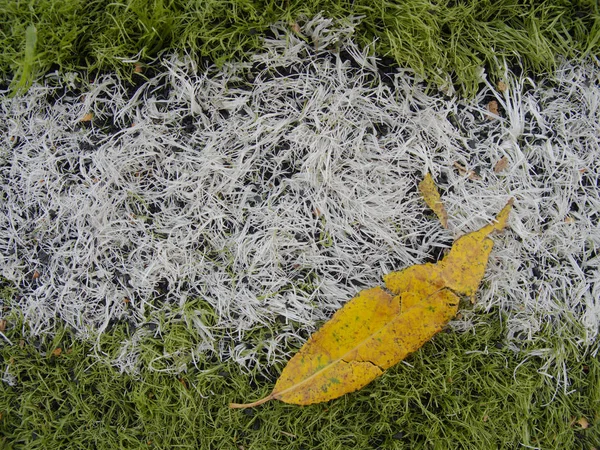 Rubbery base of soccer turf.  Green synthetic artificial grass — Stock Photo, Image