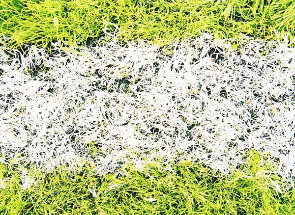 Detail of used synthetic grass for football field with milled rubber