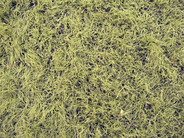 Detail of used synthetic grass for football field with milled rubber