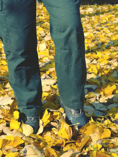 Zahradnické nohy s gumovitými botami chodit v jasně žlutých listech — Stock fotografie