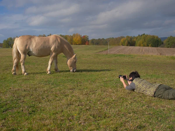 Фотограф лежал на траве и фотографировал лошадь — стоковое фото