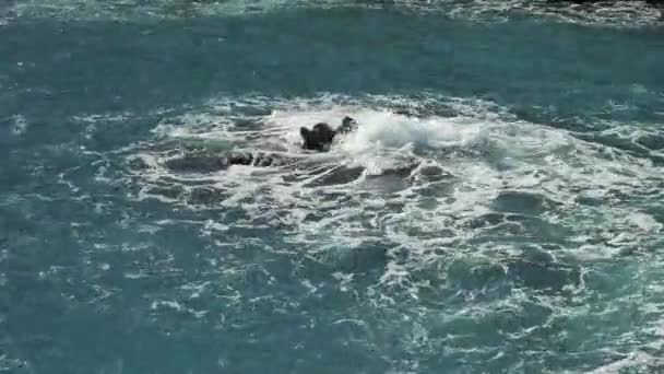 Vague Mer Brise Encore Sur Les Rochers Plage Paysage Les — Video