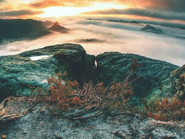 Saksonya 'daki doğa parkında Kırık Kayalar ve Kayalıklar. Uzakta tepe ve tepe ile puslu bir nokta. Venüs kuşağı ve açık mavi gökyüzü ile yaz mevsiminde muhteşem manzara.