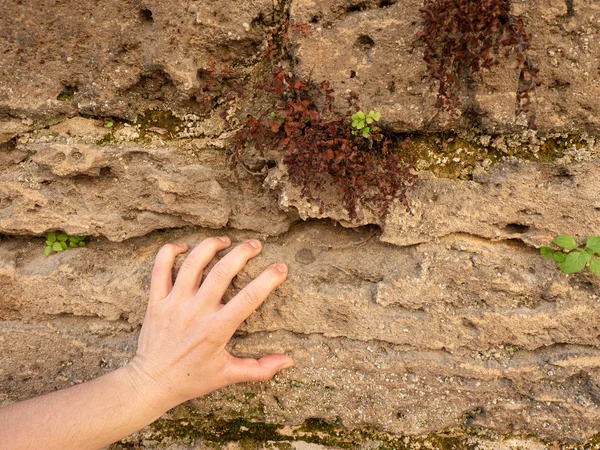 Ręczne Trzymanie Zardzewiałej Brązowej Kamiennej Ściany Skalista Ściana — Zdjęcie stockowe