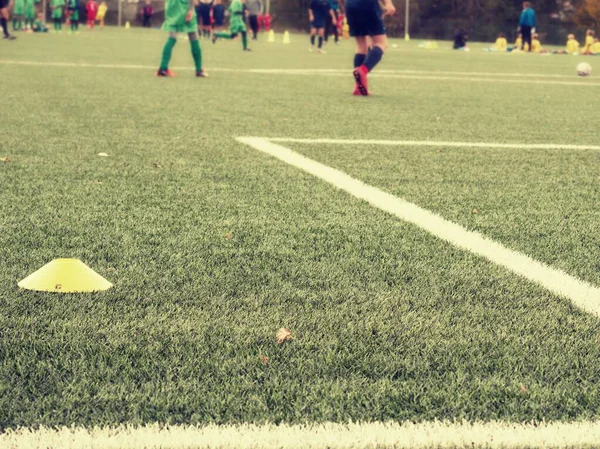 Campo Futebol Tradicional Turf Com Linhas — Fotografia de Stock