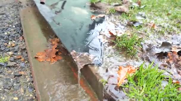 軒の下の排水溝と谷のラウンドビュー 雨水によって葉や砂が飛び立つ — ストック動画