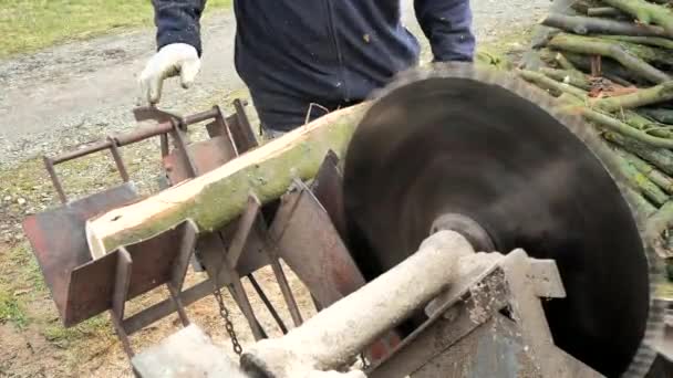 Homme Gants Sécurité Mis Une Bûche Bois Sur Porte Scie — Video