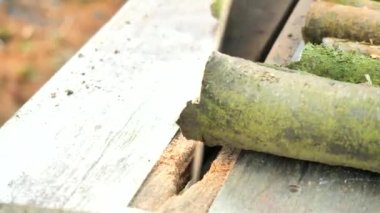 Bahçede arka planda ağaçlarla birlikte 750 cm 'lik dairesel testere bıçağı ile koşuyor. Ahşap işleri, iş tehlikeleri. Dönen disk bıçağının ayrıntılı görünümü.
