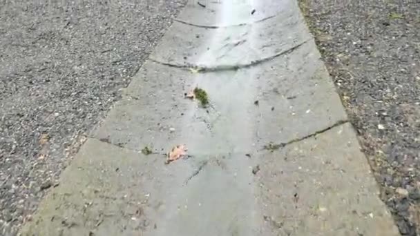 コンクリートドルナの雨の水の動き 破裂した下水道管から水が流れています 地面の亀裂から道路へと流れる水の流れ — ストック動画