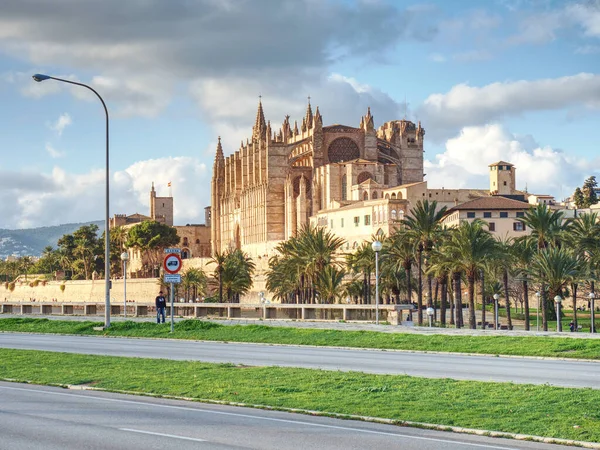 Seu Gótikus Középkori Katedrális Palma Mallorca Spanyolország 2020 Január — Stock Fotó
