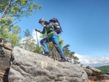 Uzun bacaklı, ayakları üzerinde koşu ayakkabısı olan bir adam. Spor ayakkabılı bir turist eski bir ormanın arka planına karşı bir dağ yolunda bastonla yürüyor..