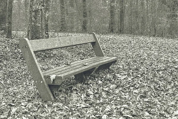 Empty Wooden Bench Autumn Public Park Earth Surface Bench Littered — Stock Photo, Image