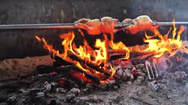 Zwei Frische Hühner Über Den Flammen Gartengrill Vorbereitungen Für Gartenparty — Stockvideo