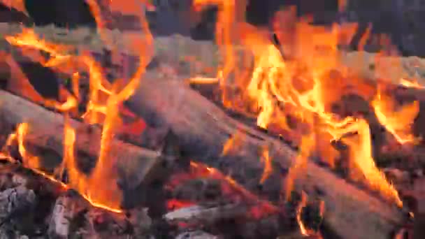 Beukenhout Branden Biologische Barbecue Met Mooie Warme Gele Vlam — Stockvideo