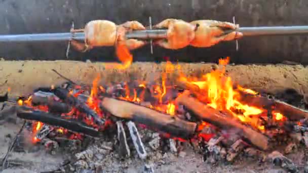 烤整个腌鸡肉 在山毛榉和桦木火上旋转的机器烤鸡 整只鸡都冒烟了 — 图库视频影像