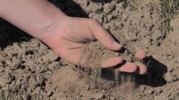 畑に乾いた土を見せる手 乾燥した土壌割れ 草原の乾燥した割れた場所 — ストック動画