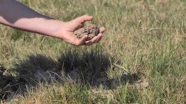 Female Hand Holding Clump Dust Meadow Parched Land Precipitation Means — Stock Video