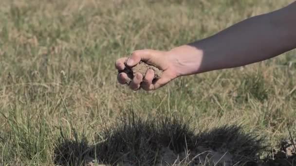 Farmer Hands Holds Handful Dry Soil Pouring Slowly Fingers Farmer — Stock Video